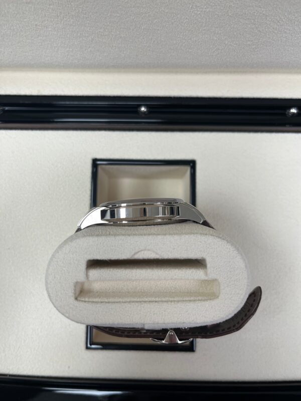 Patek Philippe Complications Salmon 18K White Gold 5172G-010 - Image 19