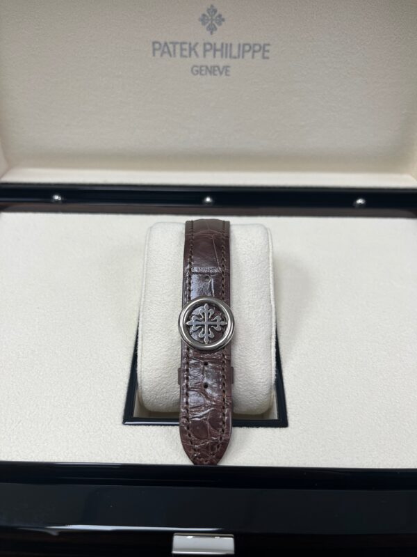Patek Philippe Complications Salmon 18K White Gold 5172G-010 - Image 20