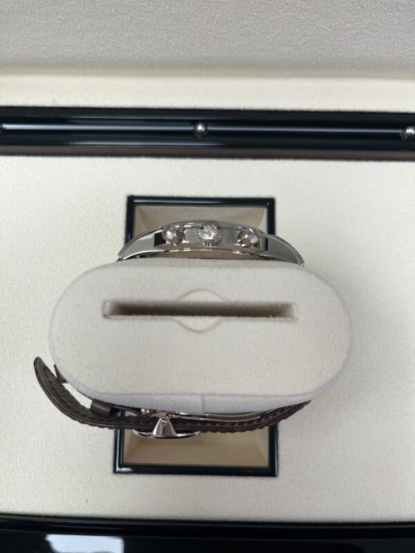Patek Philippe Complications Salmon 18K White Gold 5172G-010 - Image 18