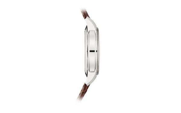 Patek Philippe Complications Salmon 18K White Gold 5172G-010 - Image 9